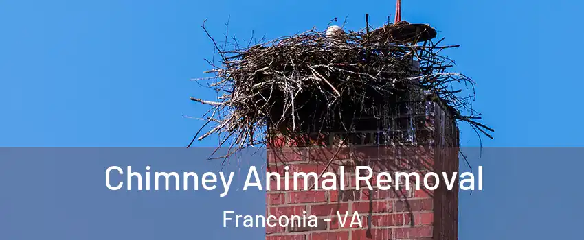 Chimney Animal Removal Franconia - VA
