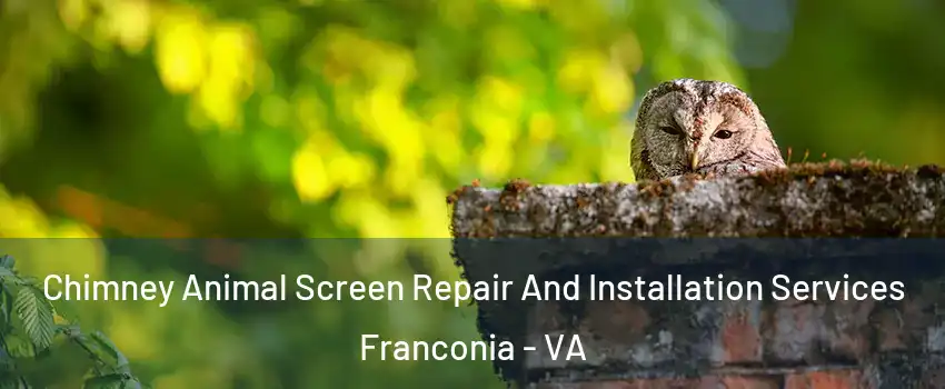  Chimney Animal Screen Repair And Installation Services Franconia - VA