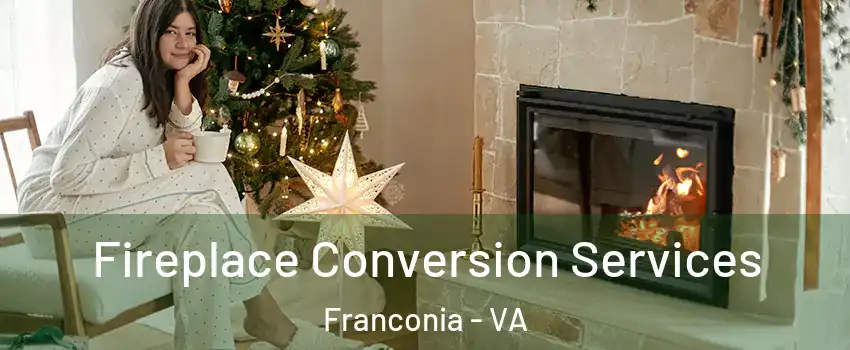  Fireplace Conversion Services Franconia - VA