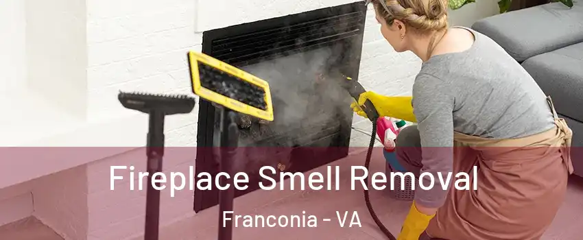  Fireplace Smell Removal Franconia - VA