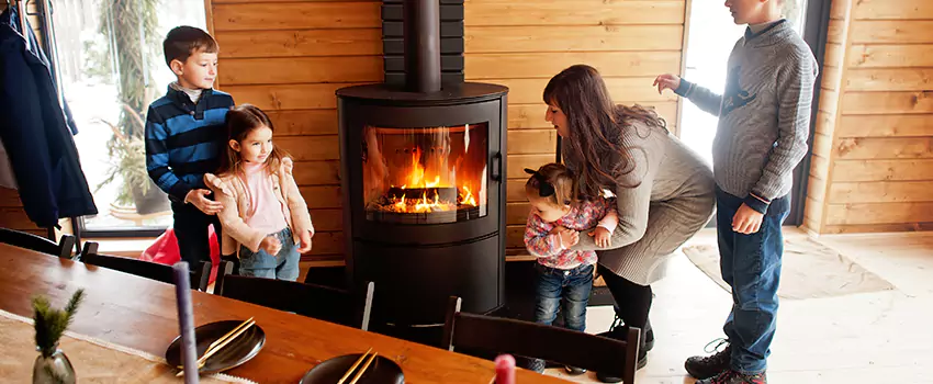Jøtul Gas Fireplace Inspection Service in Franconia, Virginia