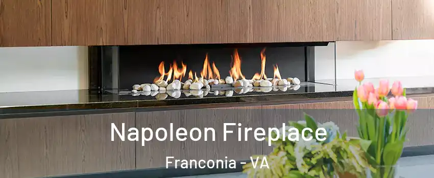  Napoleon Fireplace Franconia - VA